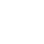 Go to Serendum's TikTok Page