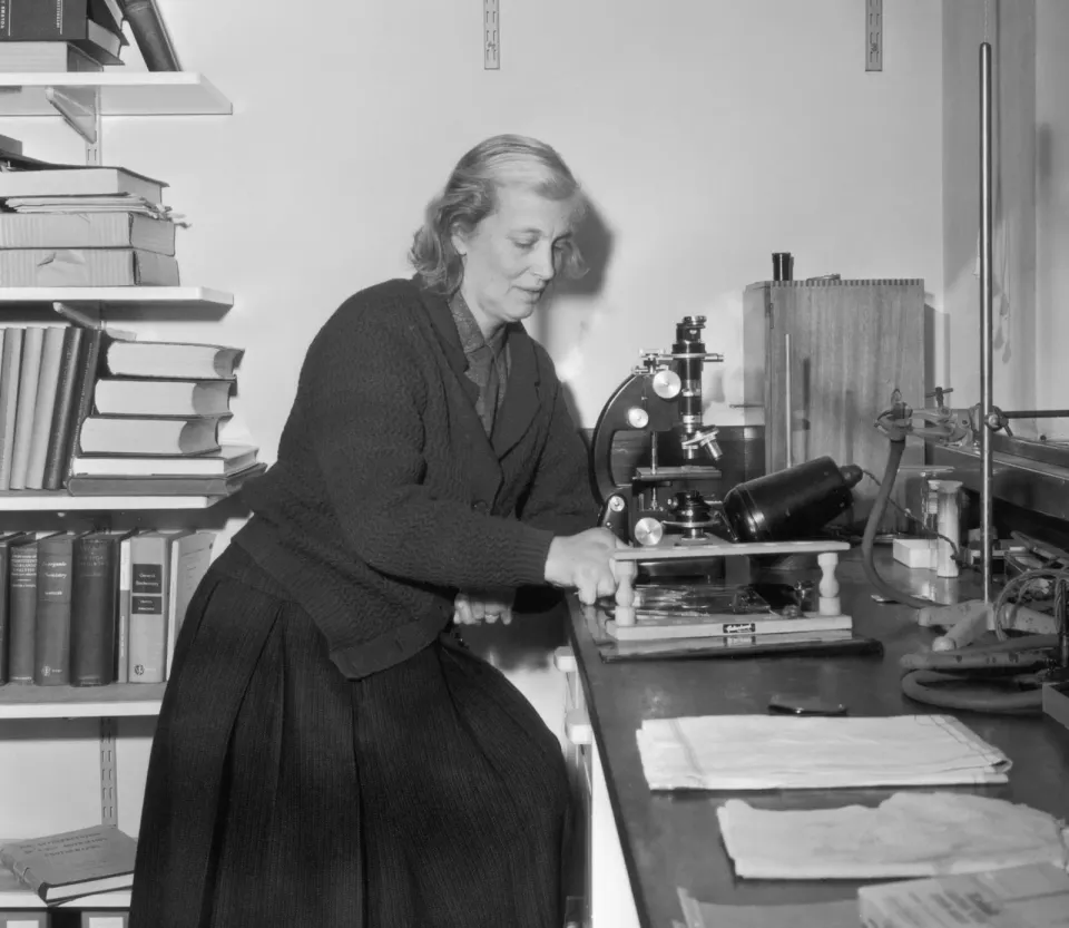 Women's History Month: Dorothy Hodgkin